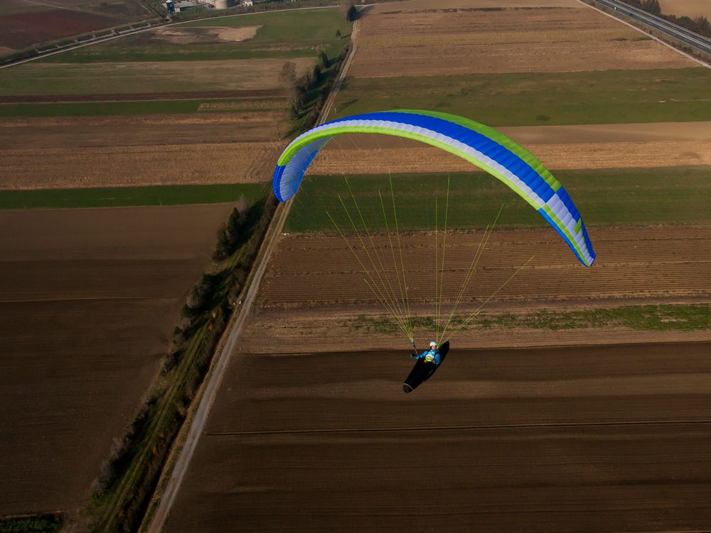 Triple Seven King (PAST MODEL)