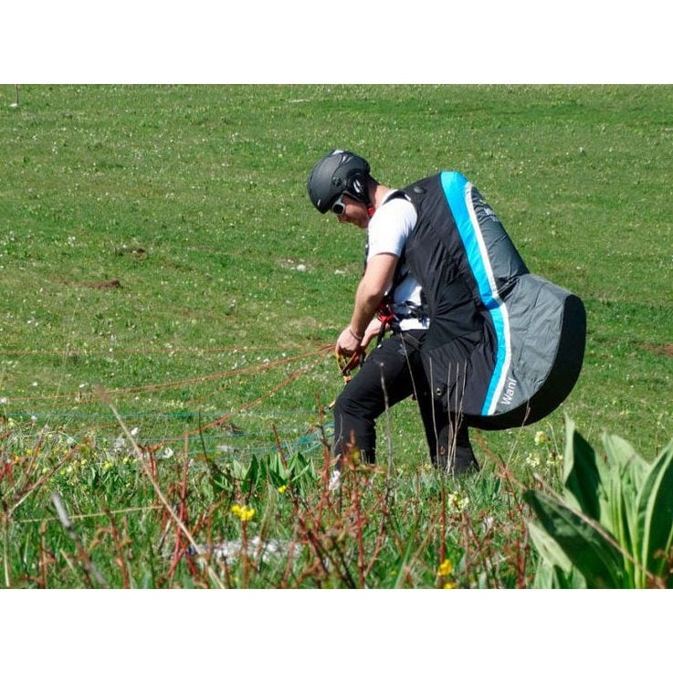 Woody Valley Wani (PAST MODEL)