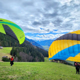 Standard colour: CC04 - Gold