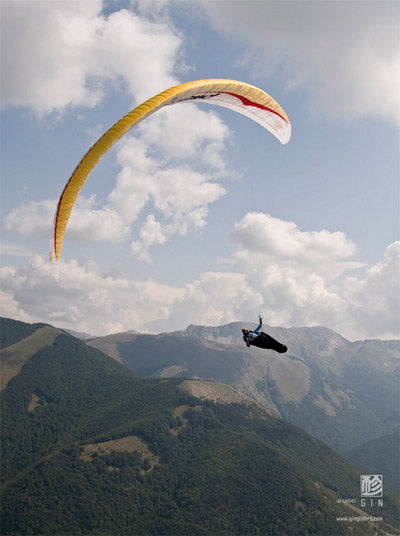 Gin Boomerang 7 in production!