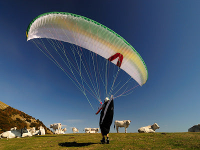 Skywalk Chili 2: Dream Machine