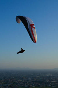 A World Record Dream... Becomes Reality!