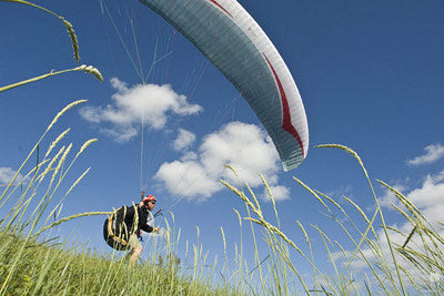 Gin Tribe: New Cross-Country Wing