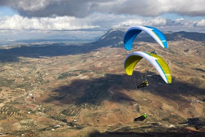 Advance Sigma 8 review