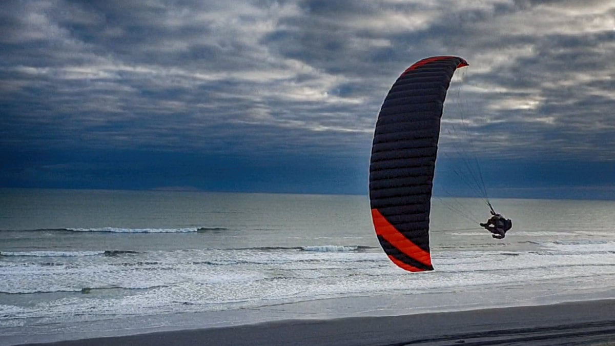 The new King of Miniwings?