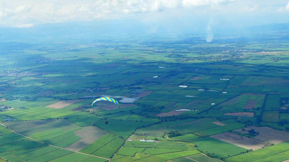 Phi SYMPHONIA review