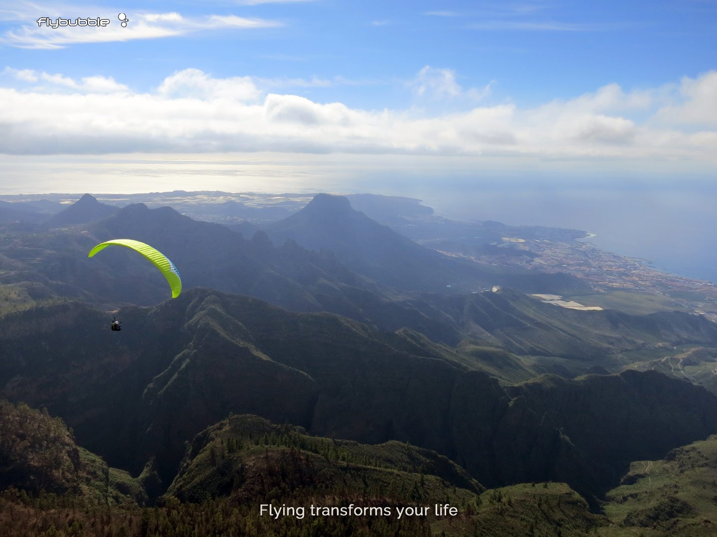 Freeflight: Transform your life