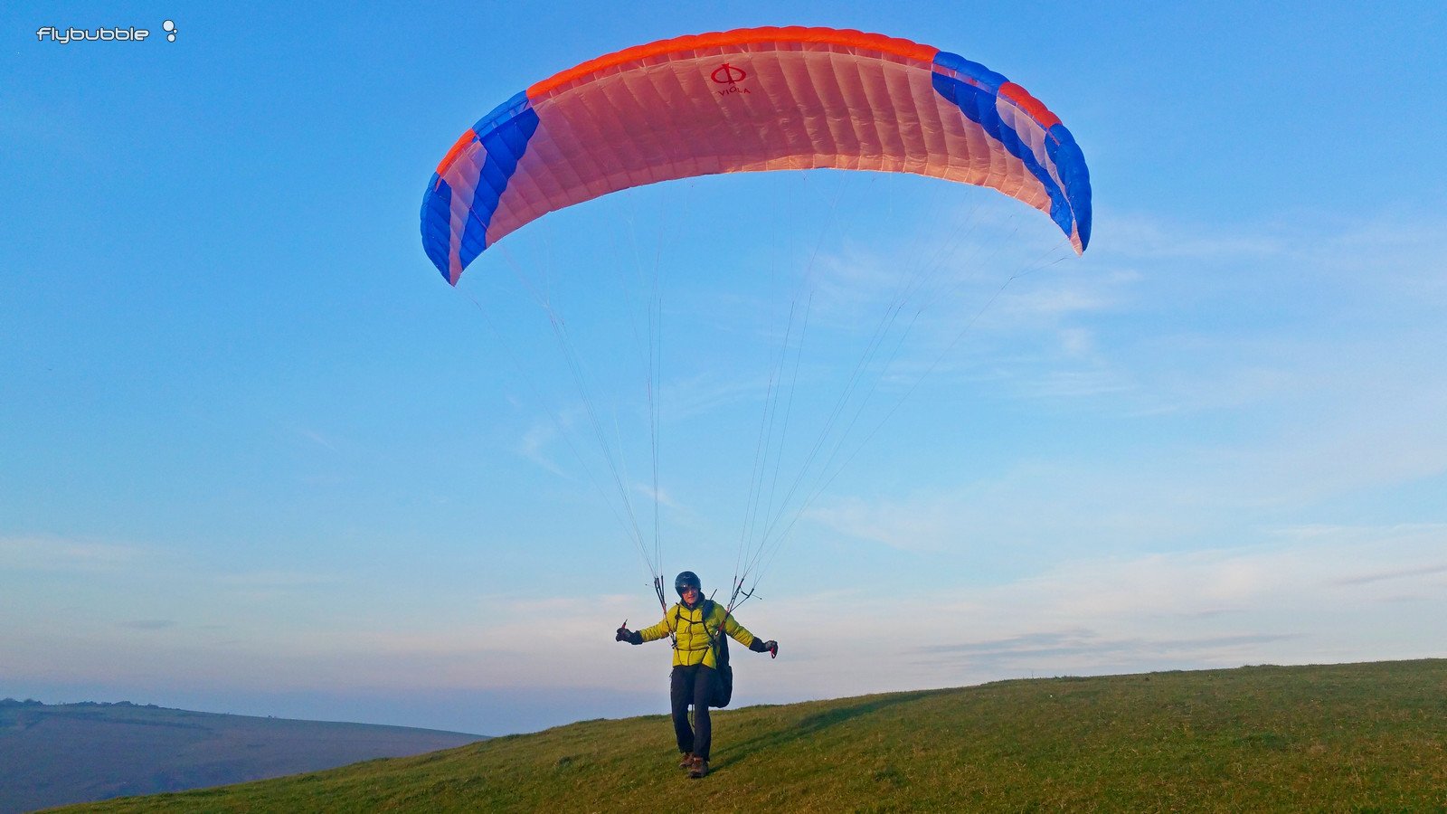 Phi VIOLA wing review