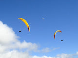 Niviuk Icepeak 3 (PAST MODEL)