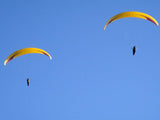 Niviuk Icepeak 3 (PAST MODEL)