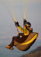 Advance SUCCESS 2+ (PAST MODEL)