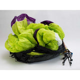 Advance FASTPACK SOLO 26072100-08