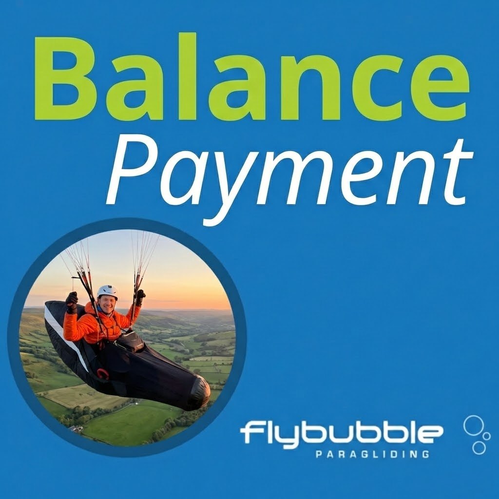 Flybubble Balance Payment