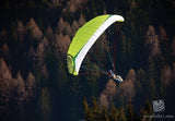 Gin Bobcat speed wing