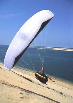 Gin Gangster (PAST MODEL)