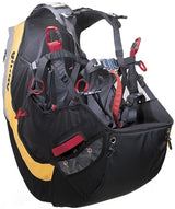 Gin Gingo (PAST MODEL)