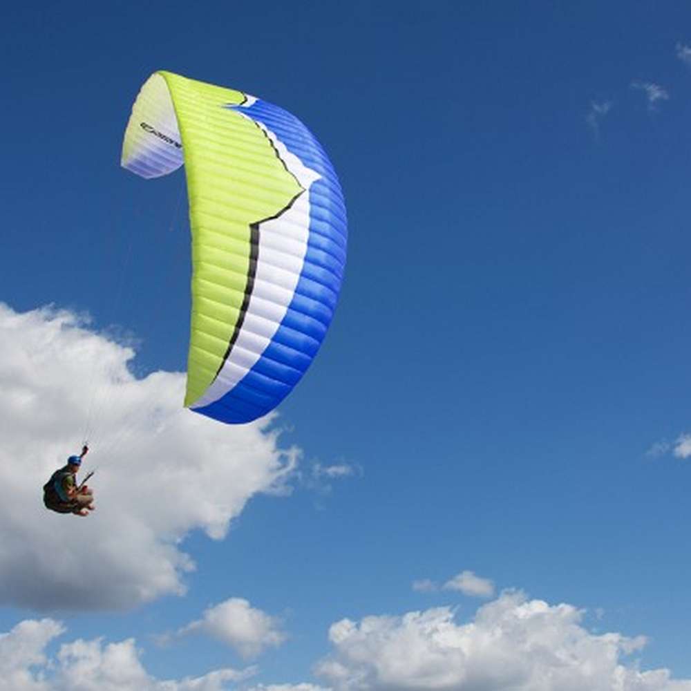 Ozone Buzz Z5 ML (85-105kg) Custom Colour CBS LS31E263