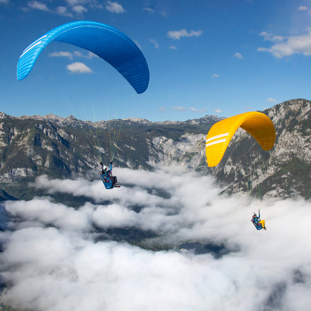 Triple Seven Knight 2 MS (80-95kg) Blue N2MSB220