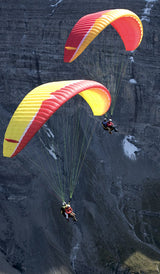 Advance BiBeta 4 (PAST MODEL)