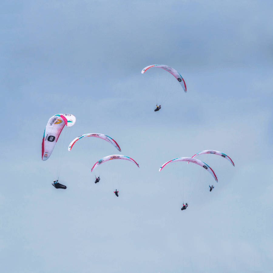 Advance OMEGA XA 4 (PAST MODEL)