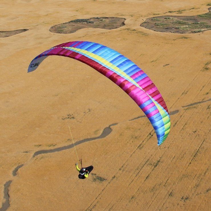 BGD CURE (PAST MODEL)