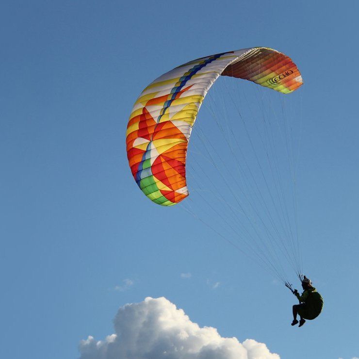 BGD ECHO (PAST MODEL)