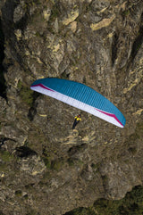 Gin Boomerang X (PAST MODEL)