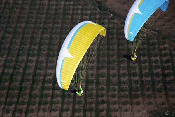 Advance SIGMA 8 (PAST MODEL) – Flybubble