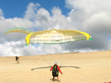 Ozone Octane FLX (PAST MODEL)