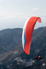 Gin Boomerang 8 (PAST MODEL)