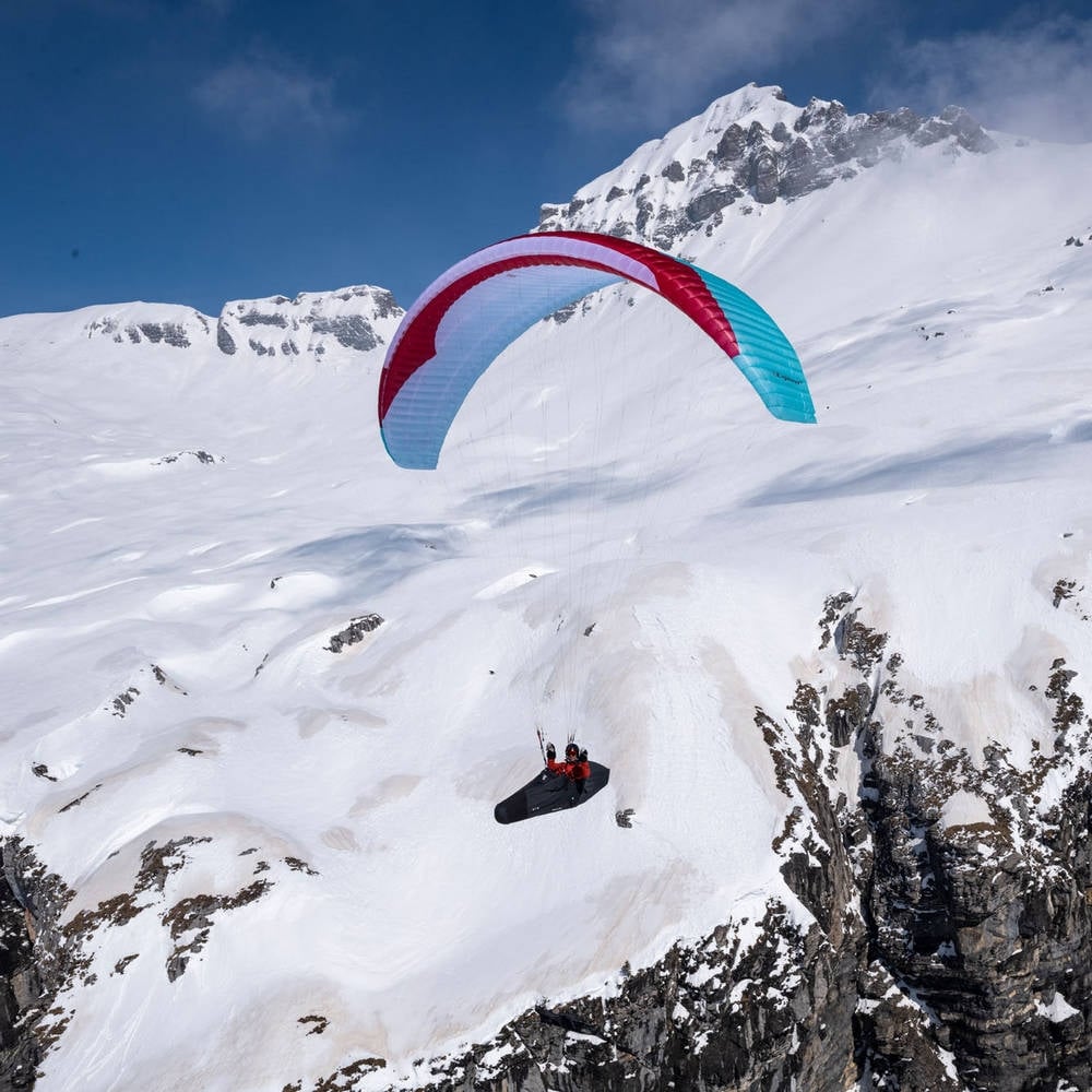 Gin Explorer 2: colour Turquoise