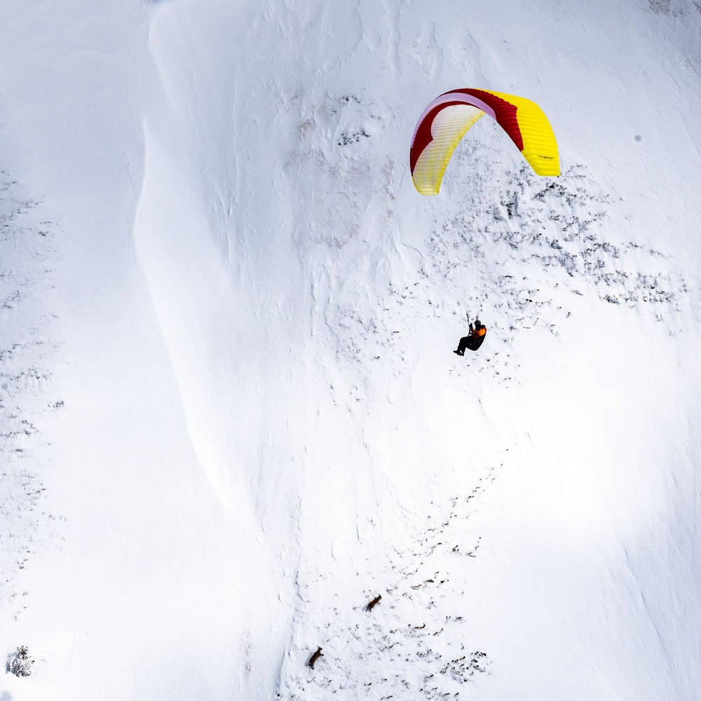 Gin Explorer 2: colour Lemon