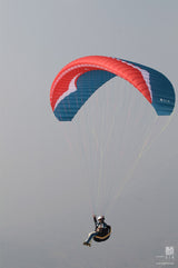 Gin Gliders Bolero 4 - Parrot colour