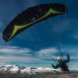  standard weight mini-wing paraglider
