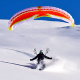 Level Wings FURY MAX