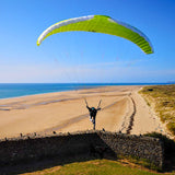 Level Wings SPEED-FORCE