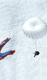 Advance Protect 3 RIS (PAST MODEL)