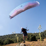 Previous colour scheme