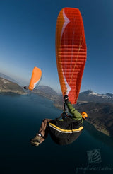 Gin Boost (PAST MODEL)