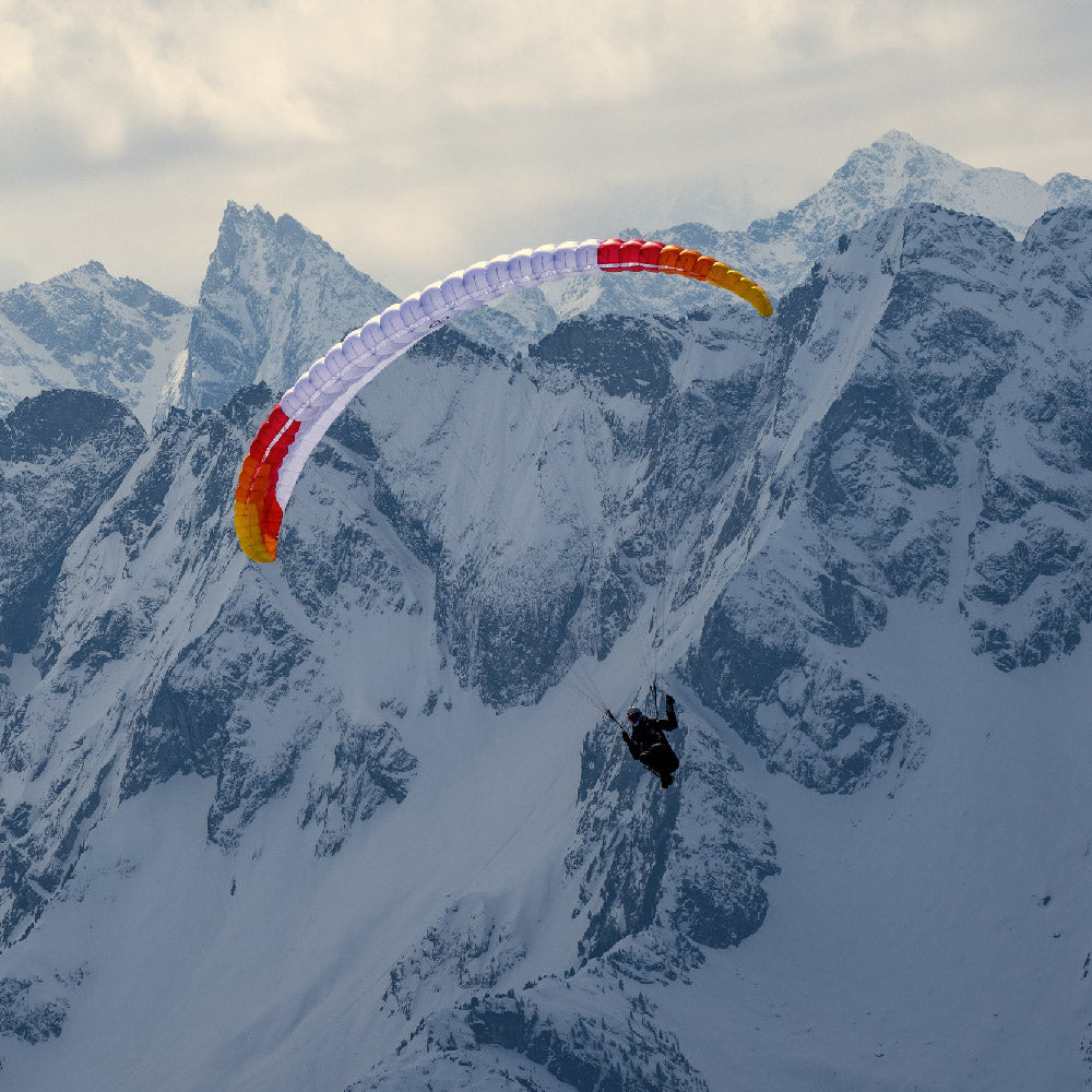 PHI VIOLA 2:Colour CC3