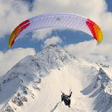 PHI VIOLA 2:Colour CC3