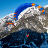 Standard colours: CC1 (Blue-Orange); CC2 (Orange-Blue) | Phi MAESTRO 