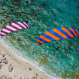 Phi SYMPHONIA duo | serial colour 04 Bordeaux-White | special colour Orange-Blue