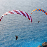 Phi SYMPHONIA | serial colour 04 Bordeaux-White | special colour Orange-Blue