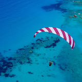 Phi SYMPHONIA | serial colour 04 Bordeaux-White