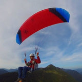 PHI VIOLA 2:Colour CC2