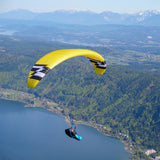 Phi BEAT colour CC 03 Gold-Black