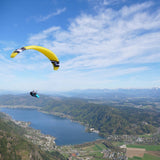 Phi BEAT colour CC 03 Gold-Black