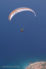 Skywalk Poison 2 (PAST MODEL)