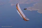 Skywalk Poison 2 (PAST MODEL)